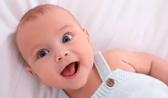 Bebés